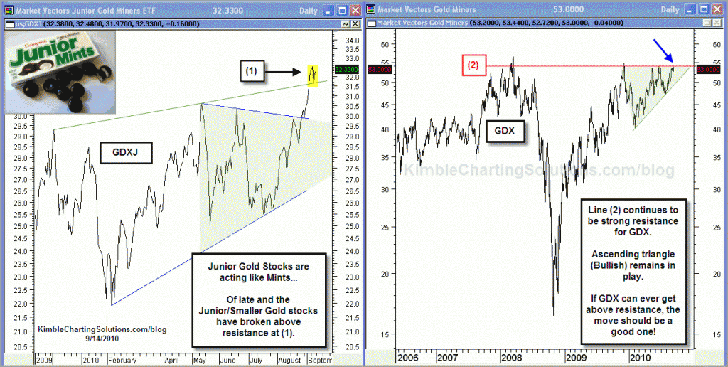 Gold Stock ETF (GDX) breaks resistance!