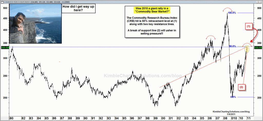 Was 2010 a bear market rally for commodities?