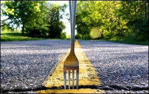 fork in the road pic